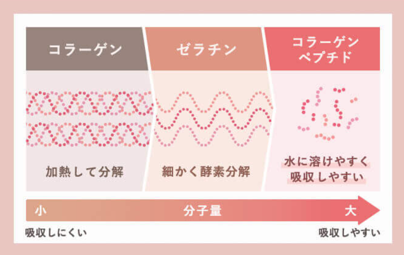 コラーゲンペプチド