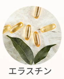 エラスチン