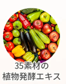 35素材の植物発酵エキス