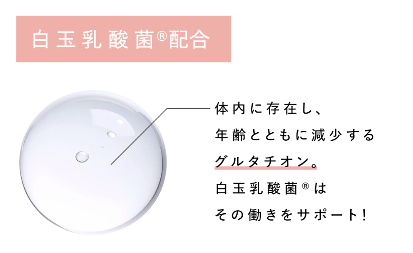 白玉乳酸菌