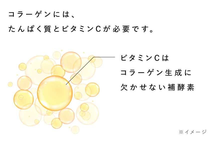 ビタミンCとコラーゲンの関係